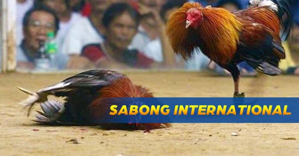 sabong international
