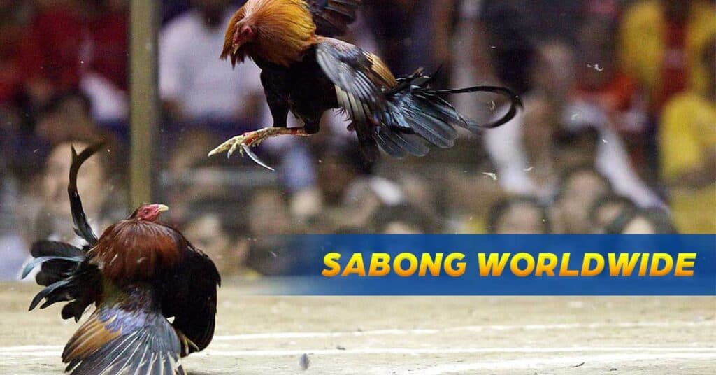 sabong worldwide
