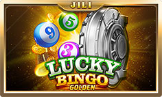 What is Lucky Bingo and How to Play This Online Game?
